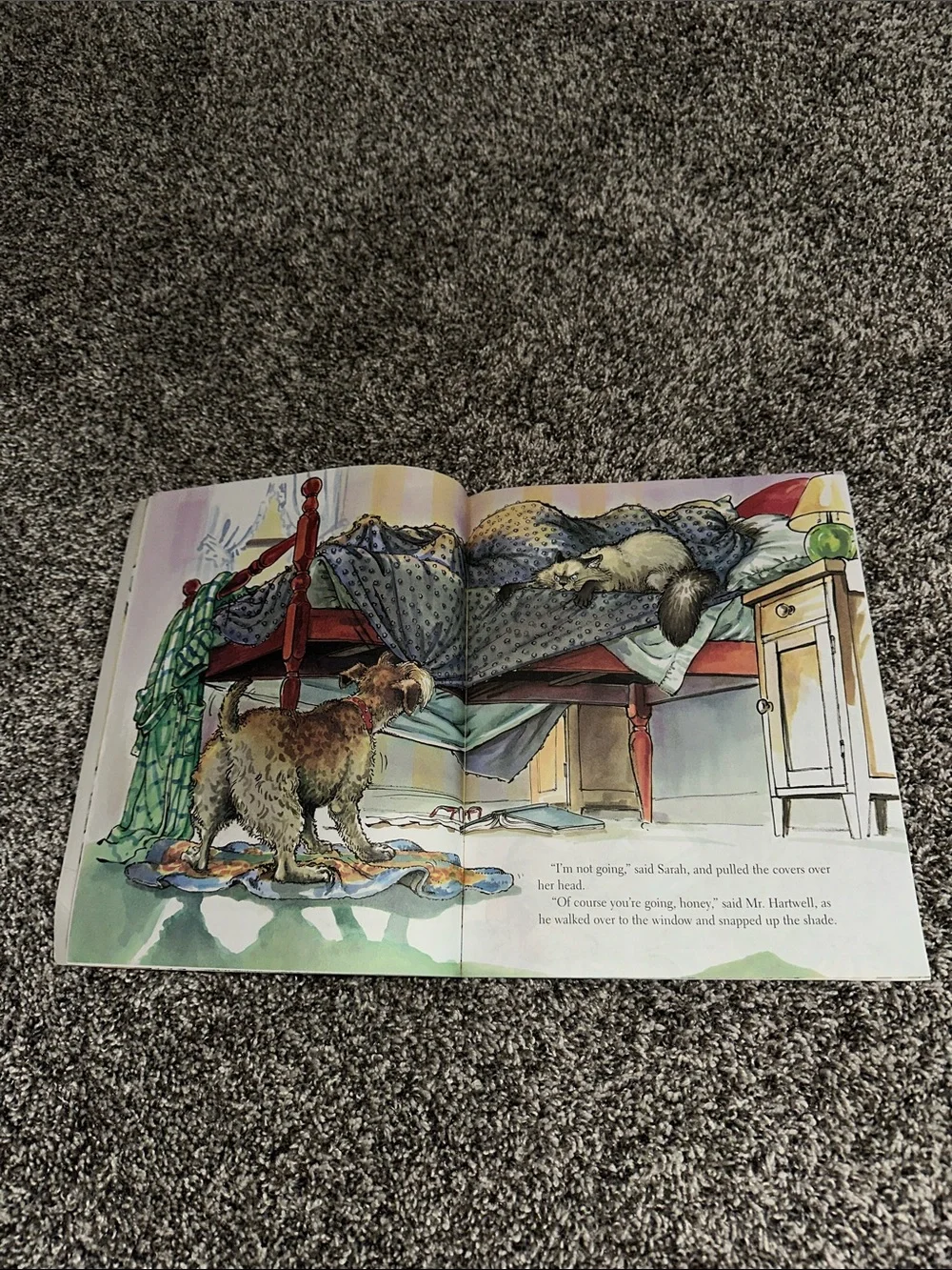 Scholastic colorful illustrated